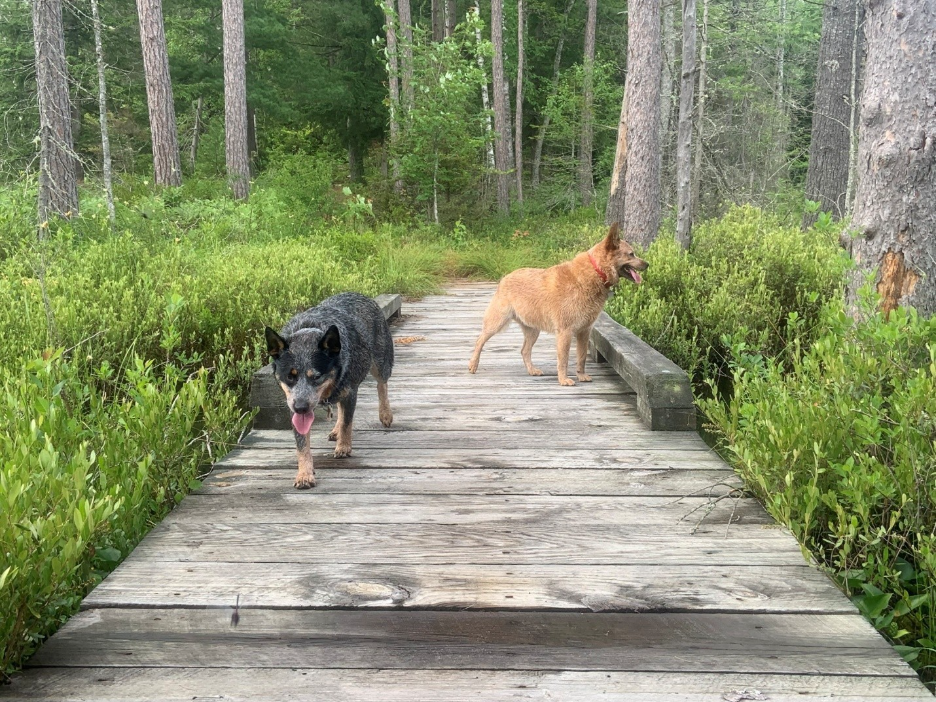 experience, inspiration, design